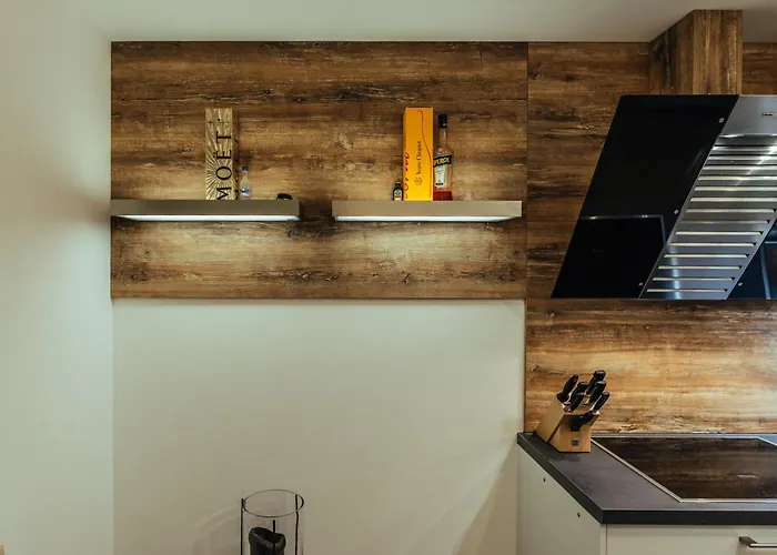 Modern Designer Retreat In 格拉茨